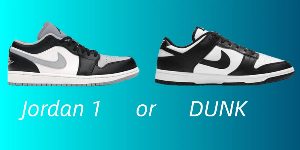 Jordan 1 or DUNK